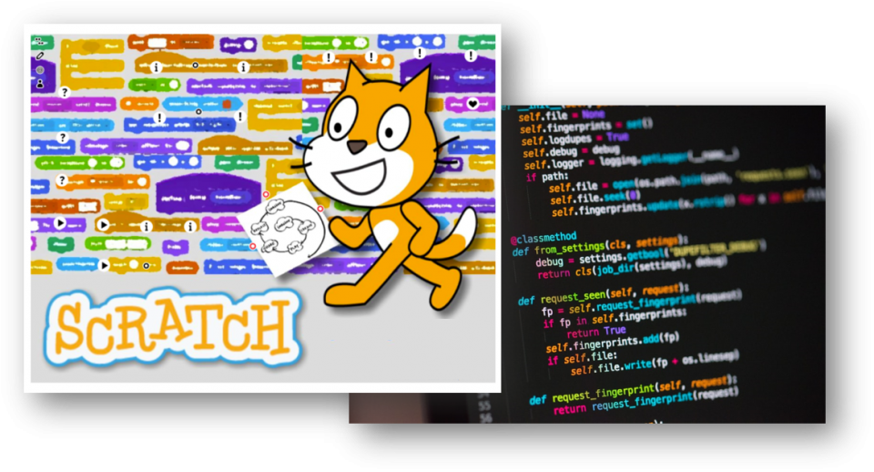 corso di coding - immagine del gattino di scratch - frammento di codice